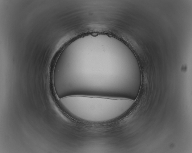 X0000093450630200710121006