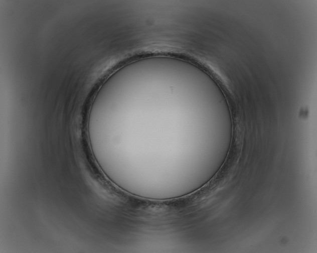X0000093450631200710121006