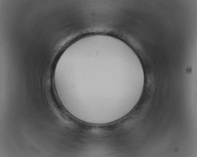 X0000093450632200710121006