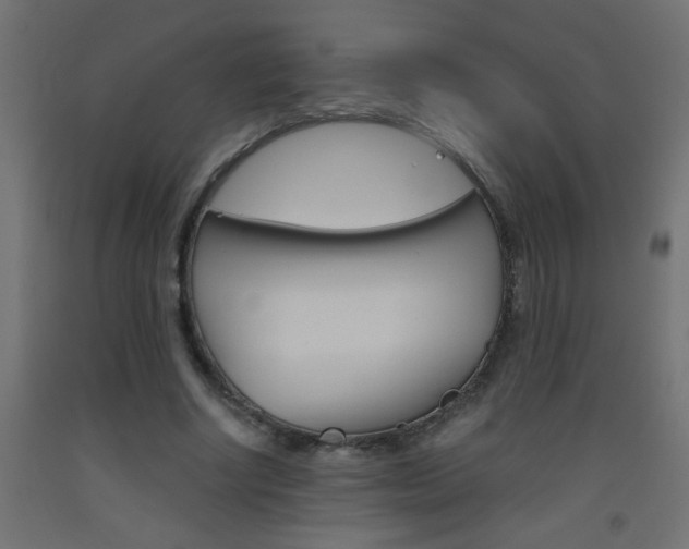 X0000093450634200710121006