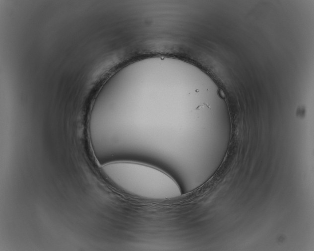 X0000093450635200710121006