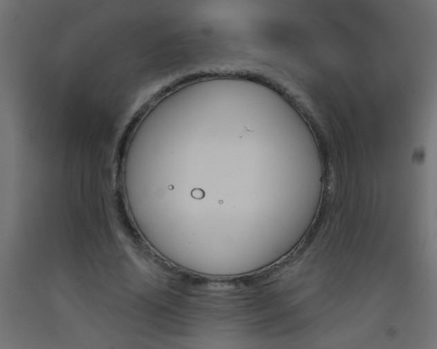 X0000093450636200710121006