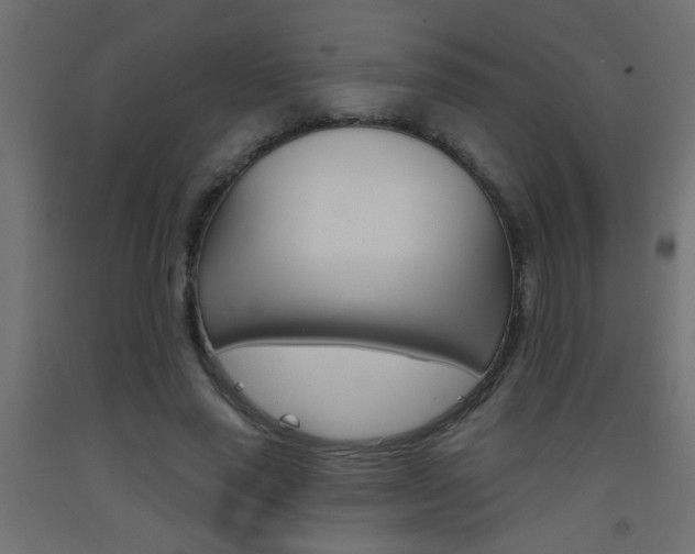X0000093450637200710121006