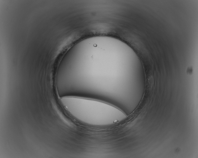 X0000093450638200710121006