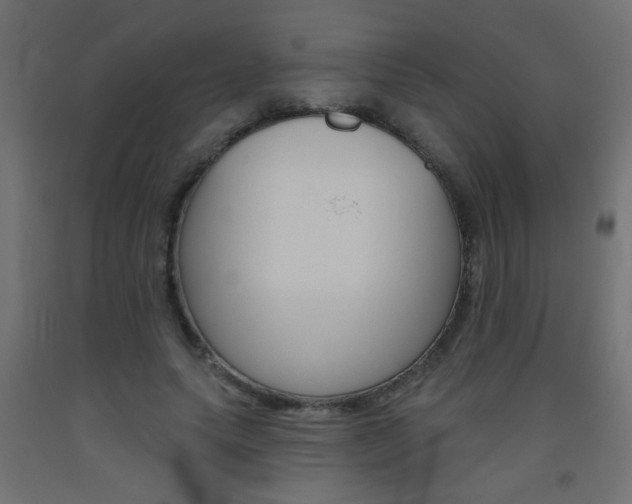 X0000093450639200710121006