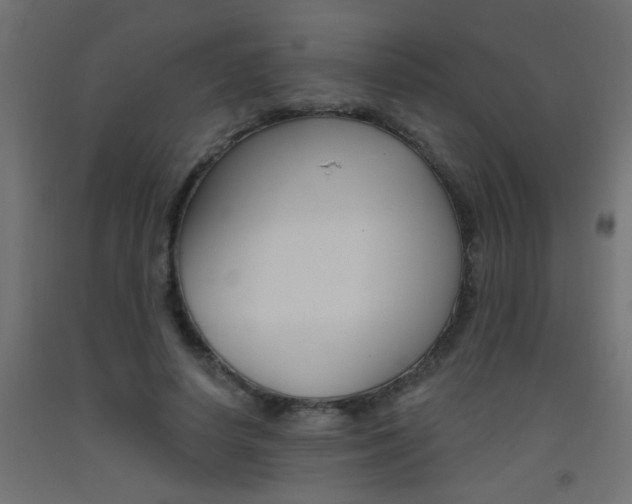 X0000093450642200710121006