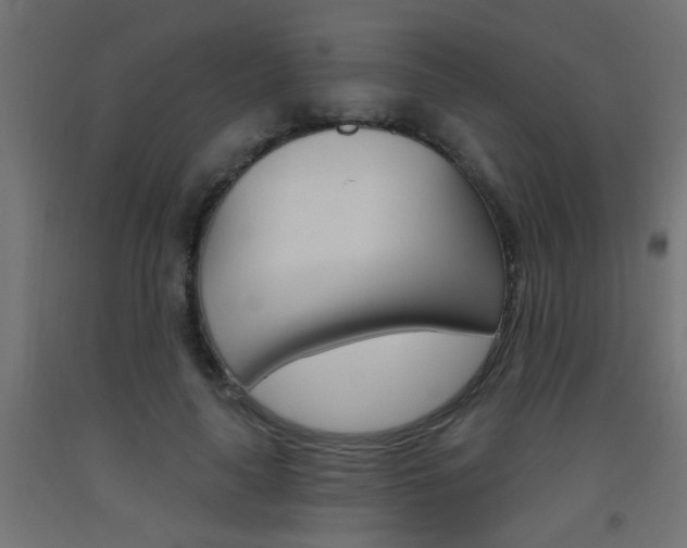 X0000093450643200710121006