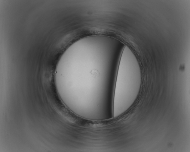 X0000093450645200710121006