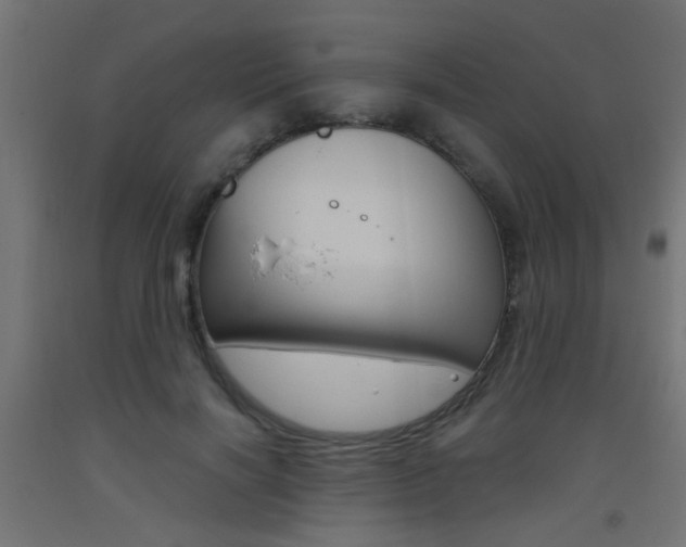 X0000093450646200710121006