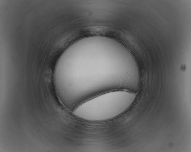 X0000093450649200710121006