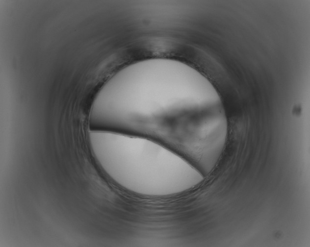 X0000093450650200710121006
