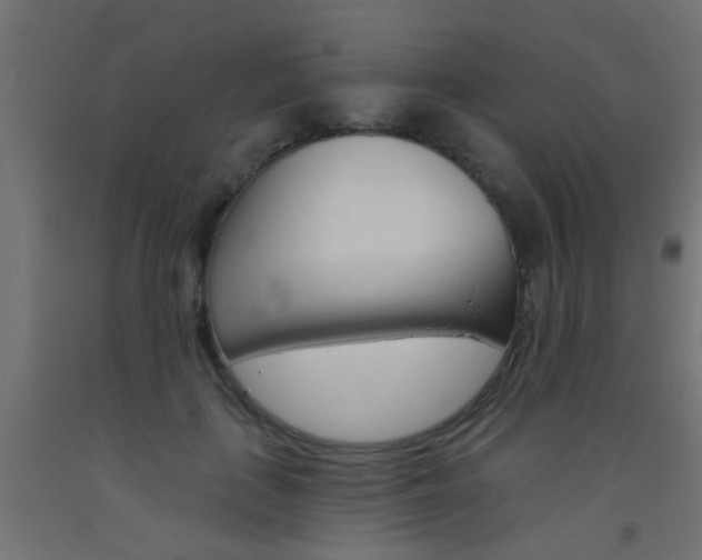 X0000093450651200710121006