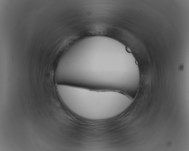 X0000093450652200710121006