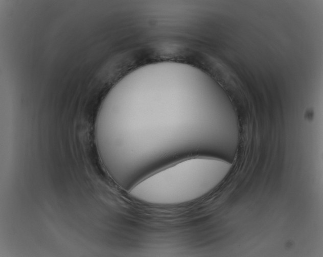 X0000093450653200710121006