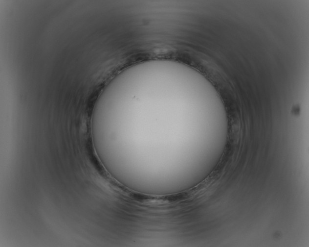 X0000093450654200710121006