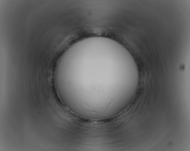 X0000093450656200710121007
