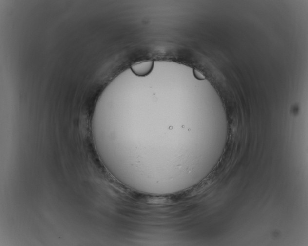 X0000093450659200710121007