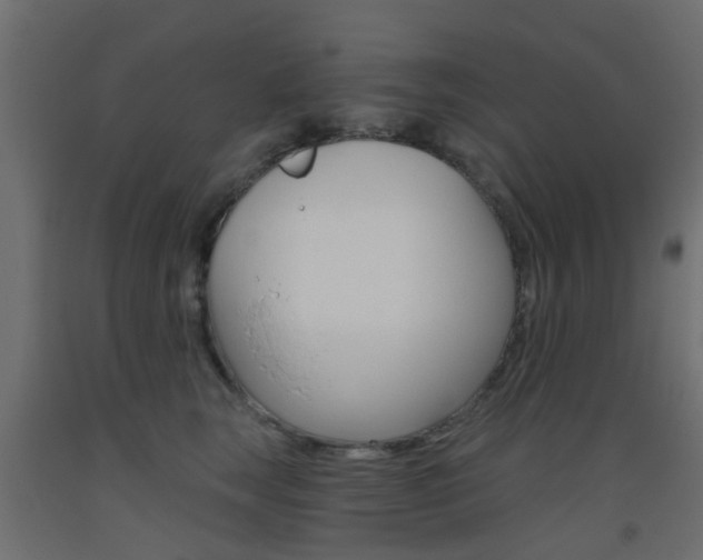 X0000093450663200710121007