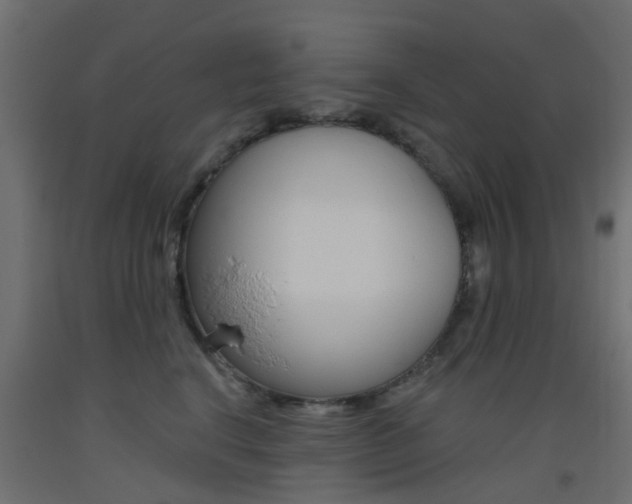 X0000093450664200710121007