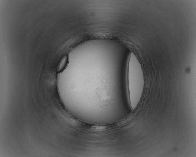 X0000093450665200710121007