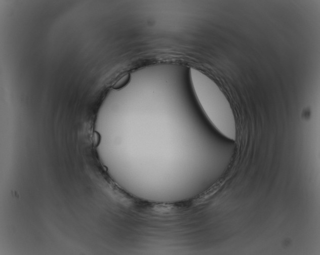 X0000093450666200710121007