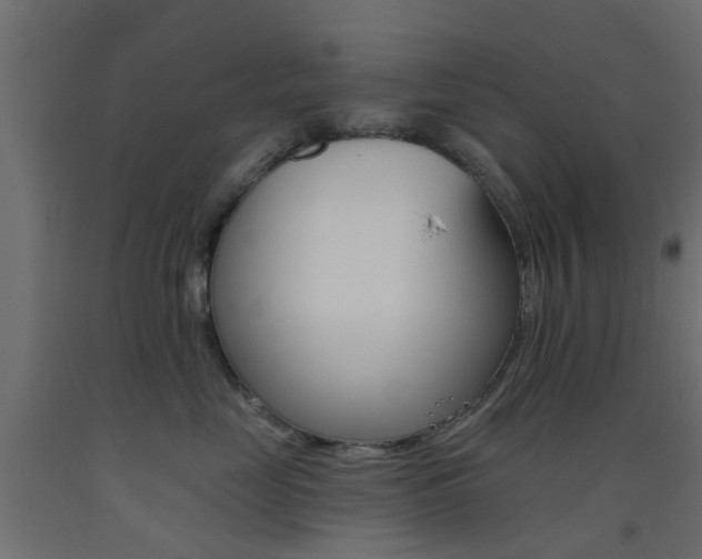 X0000093450669200710121007