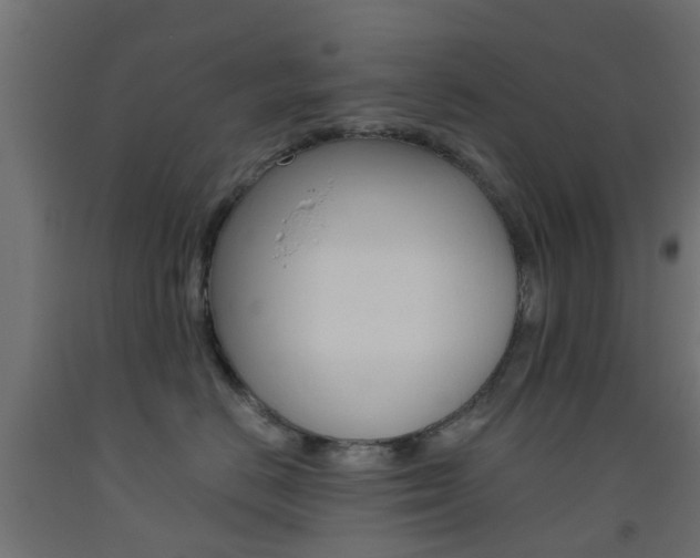 X0000093450670200710121007