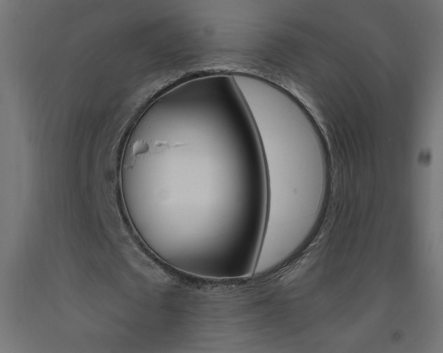 X0000093450673200710121006