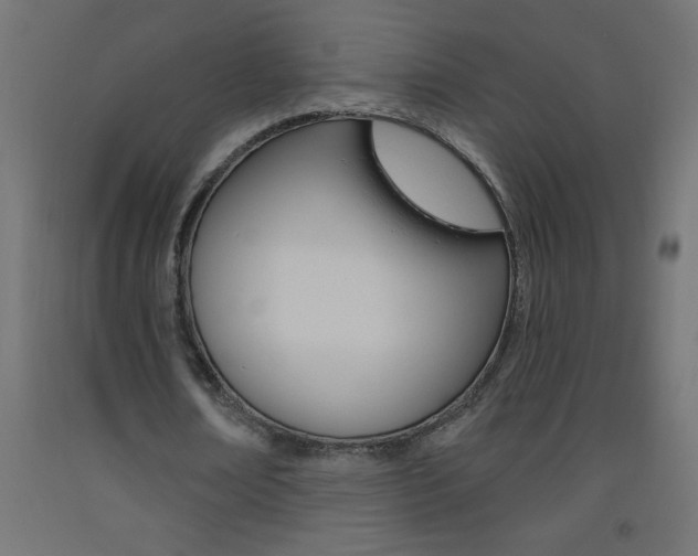 X0000093450674200710121006