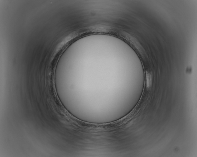 X0000093450675200710121006