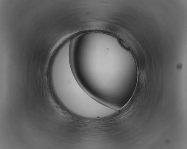 X0000093450676200710121006