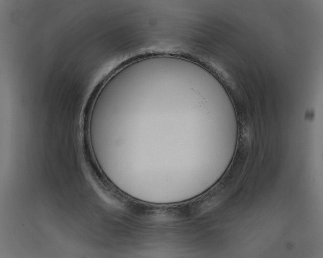 X0000093450678200710121006