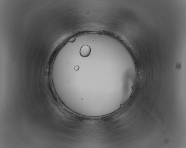 X0000093450679200710121006