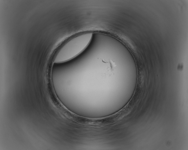 X0000093450680200710121006