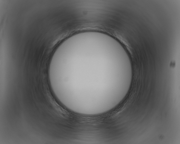 X0000093450681200710121006