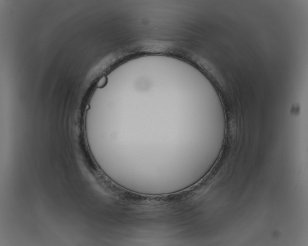 X0000093450682200710121006