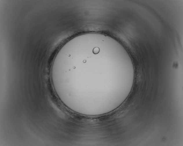 X0000093450683200710121006