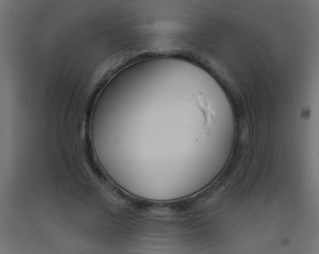 X0000093450685200710121006