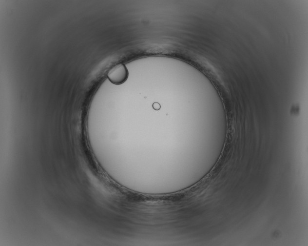 X0000093450686200710121006