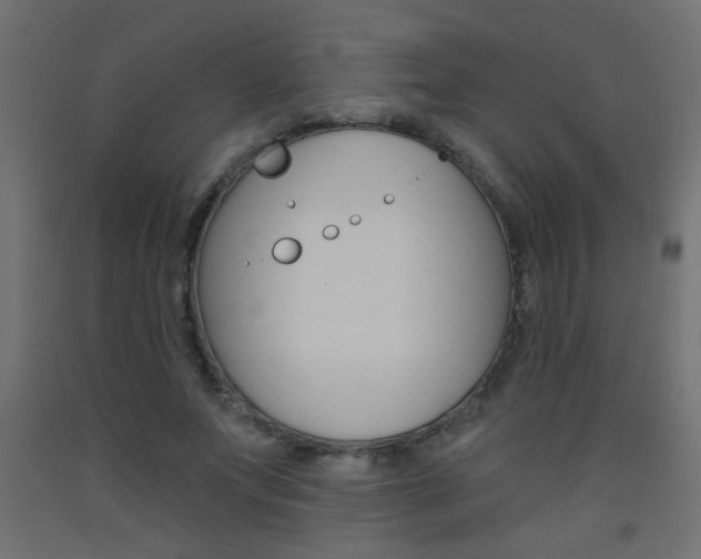X0000093450687200710121006