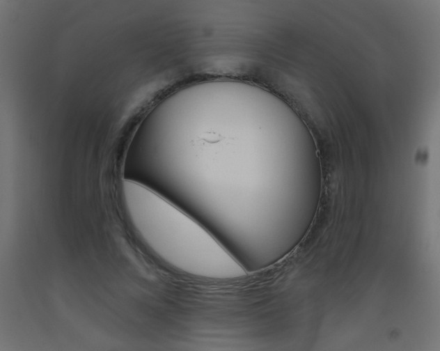 X0000093450688200710121006