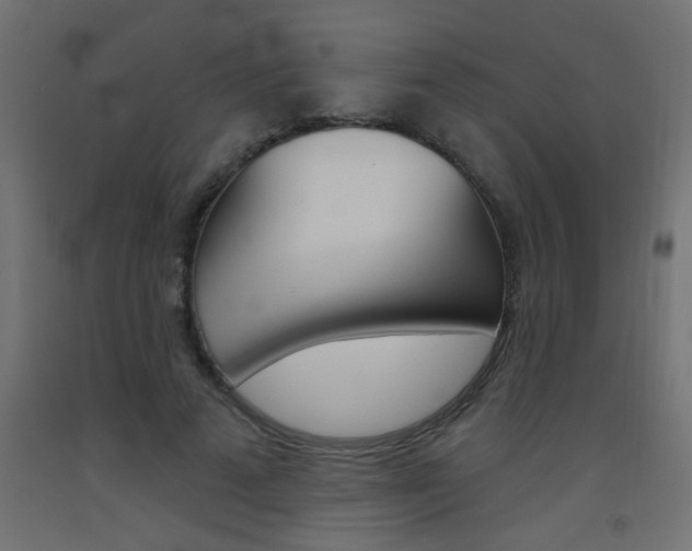 X0000093450689200710121006