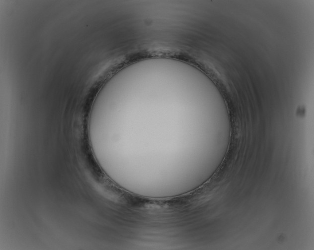 X0000093450690200710121006