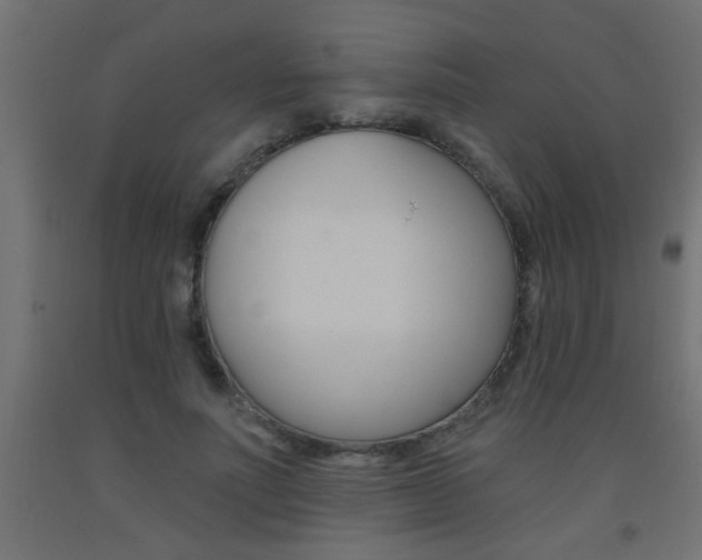 X0000093450691200710121006