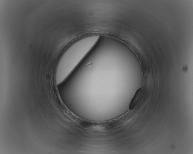 X0000093450692200710121006