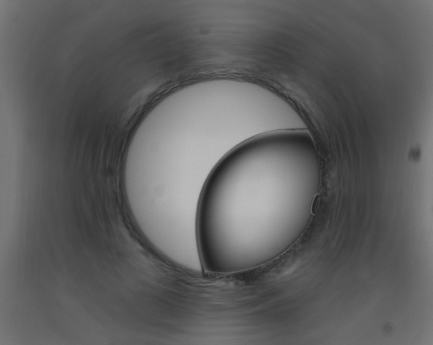 X0000093450693200710121006