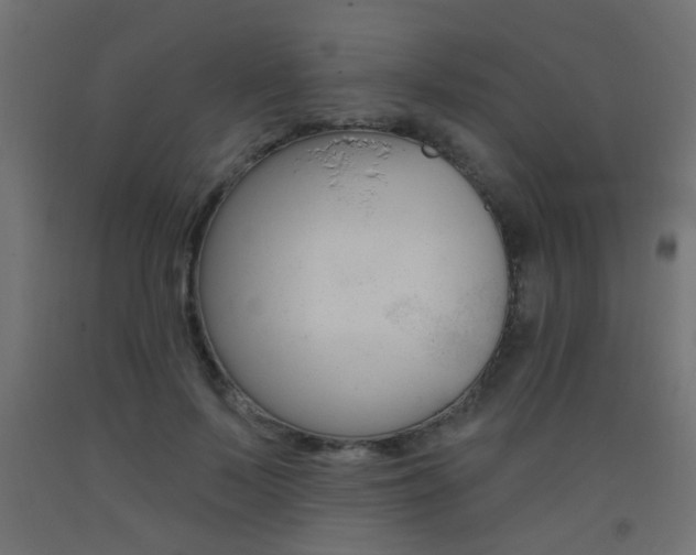 X0000093450695200710121006