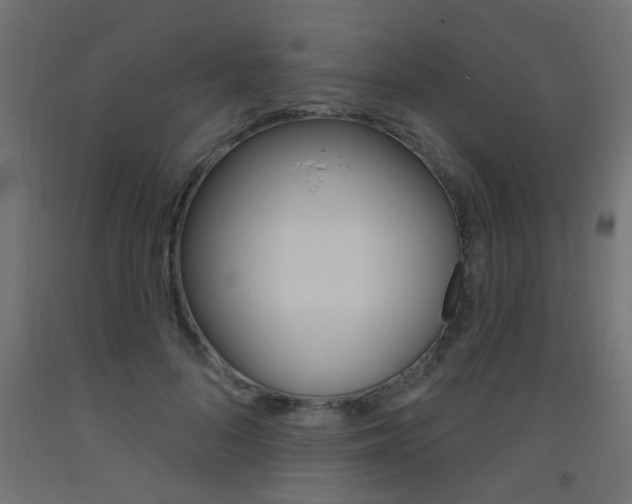 X0000093450696200710121006