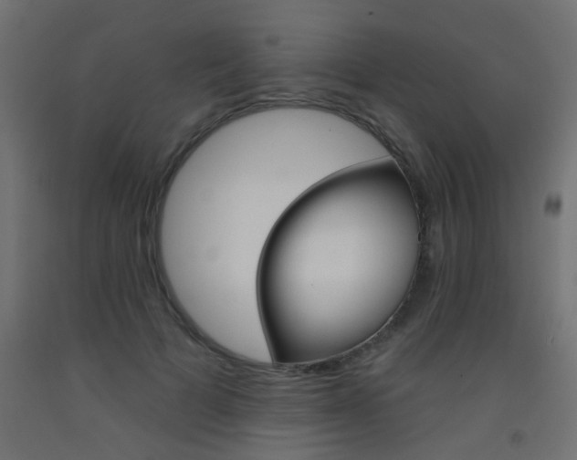 X0000093450697200710121006
