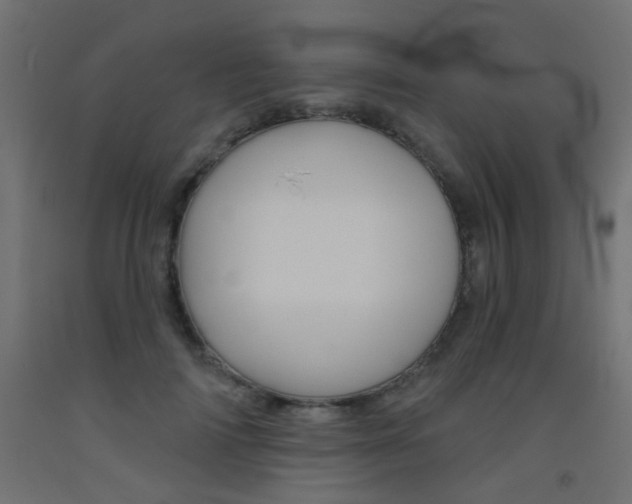 X0000093450698200710121006